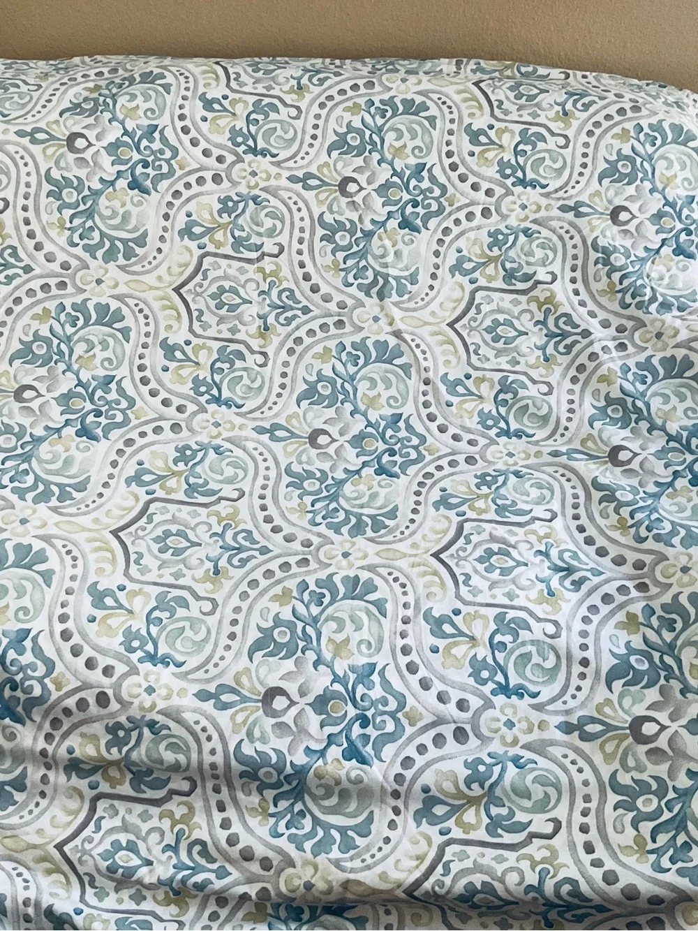 Pottery Barn Jessie King Duvet Cover & 2 King Shams